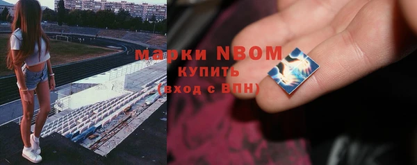 ПСИЛОЦИБИНОВЫЕ ГРИБЫ Алексин
