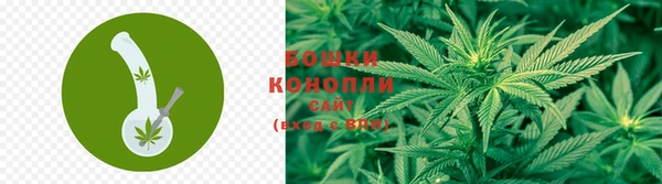 гидропоника Алзамай