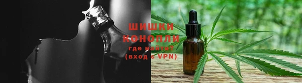 гидропоника Алзамай