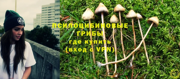 ПСИЛОЦИБИНОВЫЕ ГРИБЫ Алексин