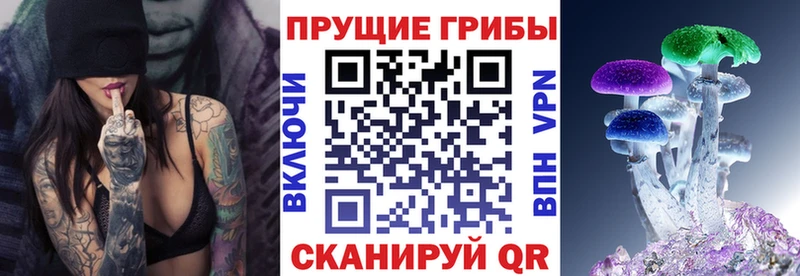 кракен онион  Арамиль  Псилоцибиновые грибы GOLDEN TEACHER  продажа наркотиков 